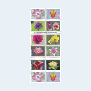 2021 Garden Beauty Forever Stamps: Self-Adhesive Booklets for First-Class Mail