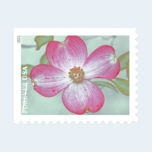 2021 Garden Beauty Forever Stamps: Self-Adhesive Booklets for First-Class Mail - Image 2