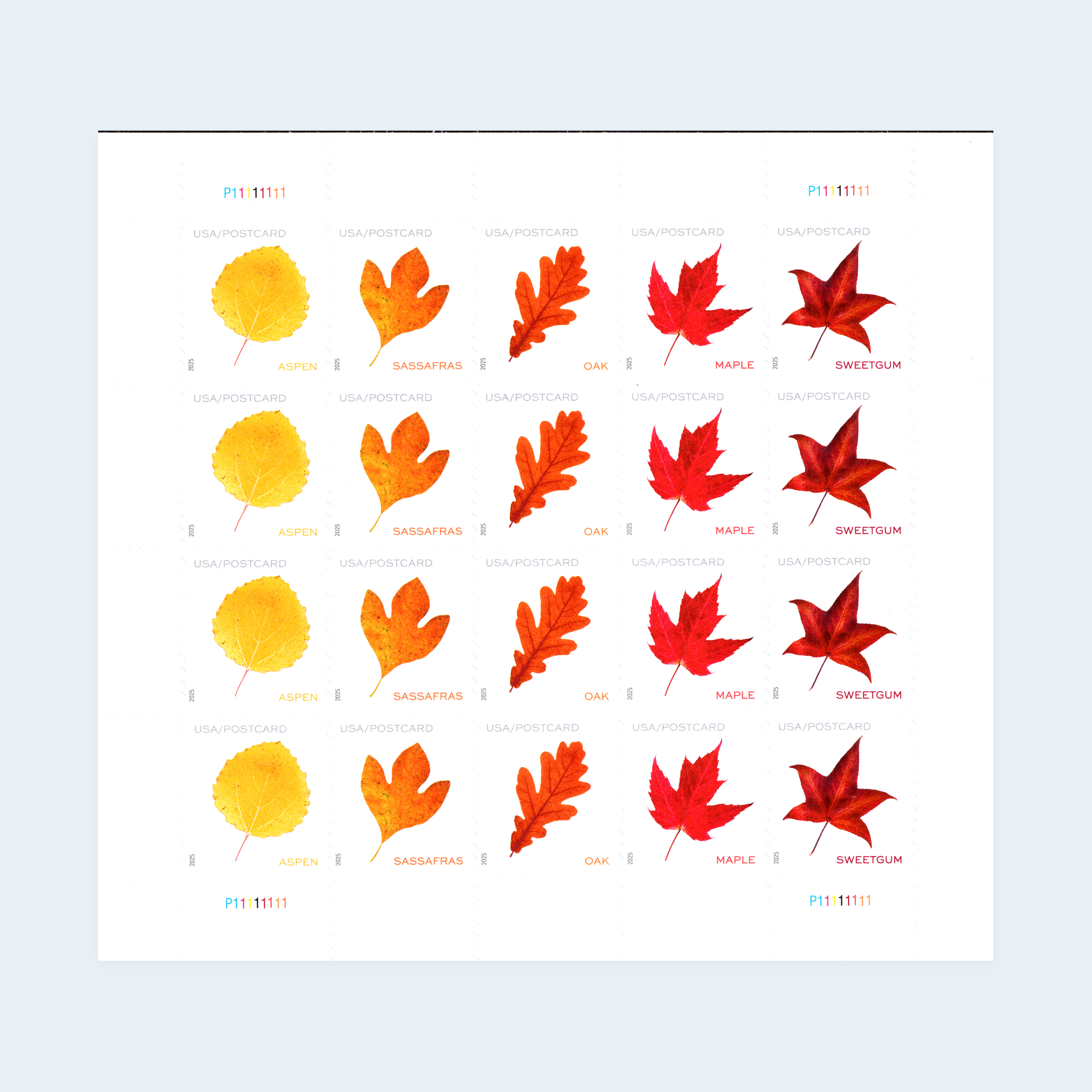 2025 Vibrant Leaves Postcard Stamps: Self-Adhesive Sheet for Domestic Postcards