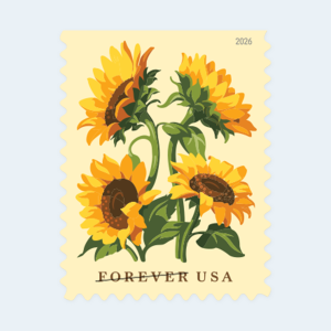 2026 Sunflowers Forever Stamps: Self-Adhesive Booklets for First-Class Mail - Image 2