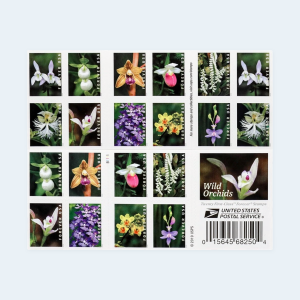 2020 Wild Orchids Forever Stamps: Self-Adhesive Booklets for First-Class Mail