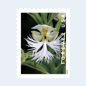 2020 Wild Orchids Forever Stamps: Self-Adhesive Booklets for First-Class Mail - Image 2