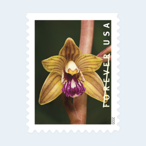 2020 Wild Orchids Forever Stamps: Self-Adhesive Booklets for First-Class Mail - Image 3