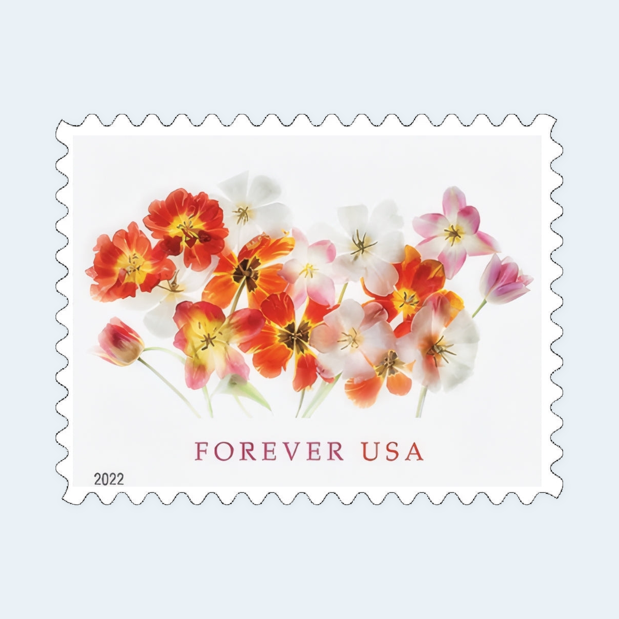 2022 Tulips Forever Stamps: Self-Adhesive Sheets for First-Class Mail - Image 2