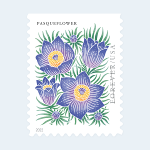 2022 Mountain Flora Forever Stamps: Self-Adhesive Booklets for First-Class Mail - Image 2