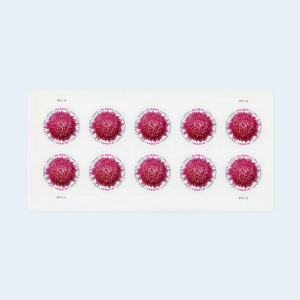 2020 Chrysanthemum Global Forever Stamps: Self-Adhesive Sheet for International Mail