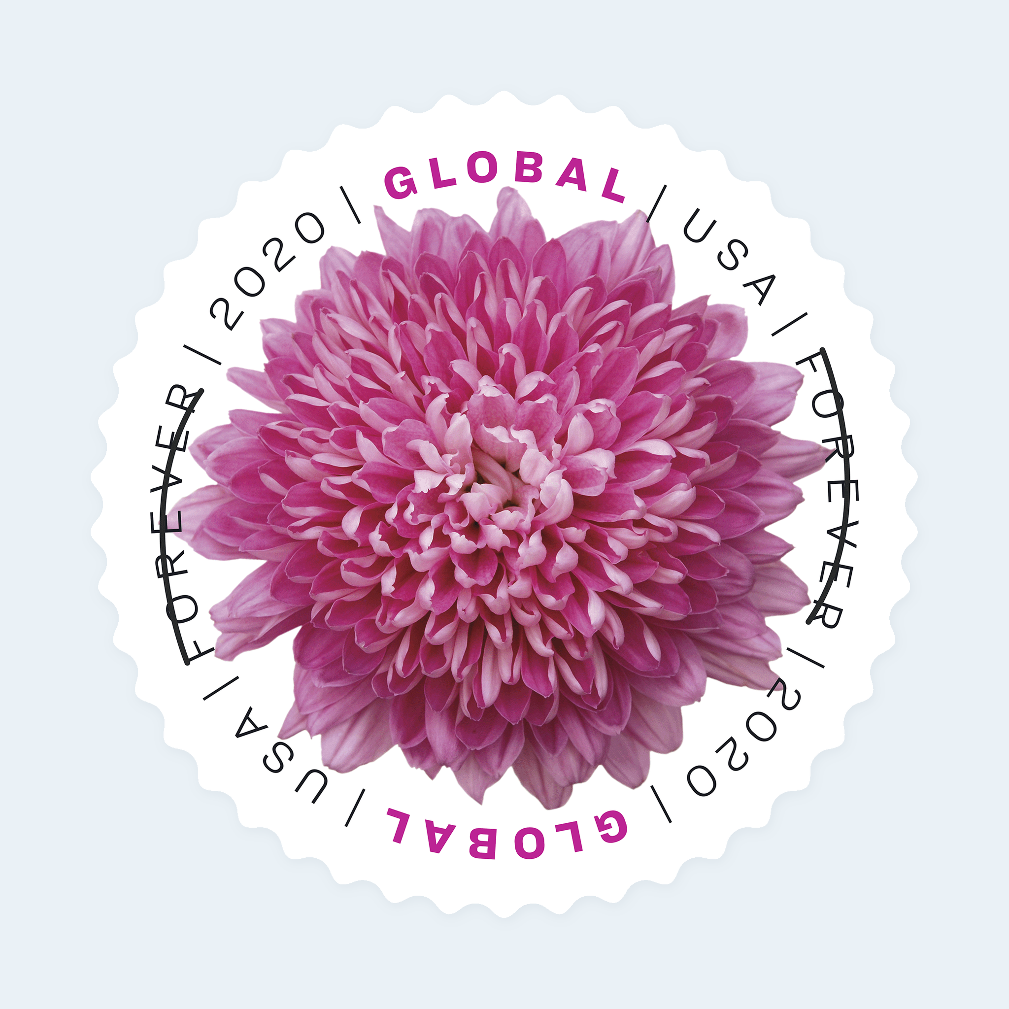2020 Chrysanthemum Global Forever Stamps: Self-Adhesive Sheet for International Mail - Image 2