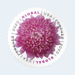 2020 Chrysanthemum Global Forever Stamps: Self-Adhesive Sheet for International Mail - Image 3