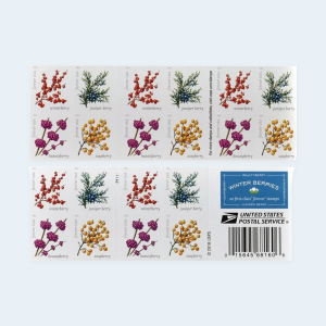 2019 Winter Berries Forever Stamps: Self-Adhesive Booklet for First-Class Mail