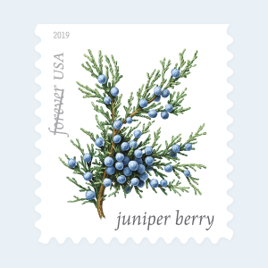 2019 Winter Berries Forever Stamps: Self-Adhesive Booklet for First-Class Mail - Image 3