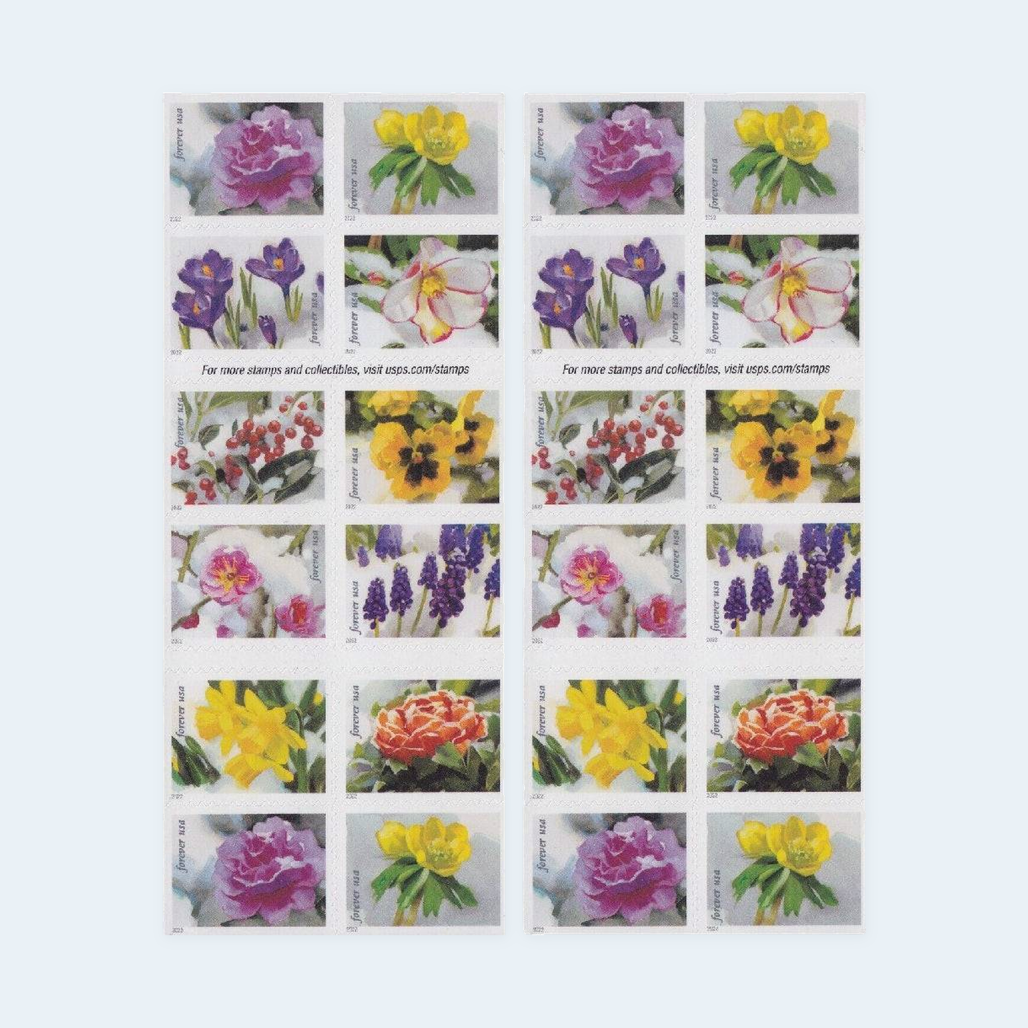 2022 Snowy Beauty Forever Stamps: Self-Adhesive Booklets for First-Class Mail