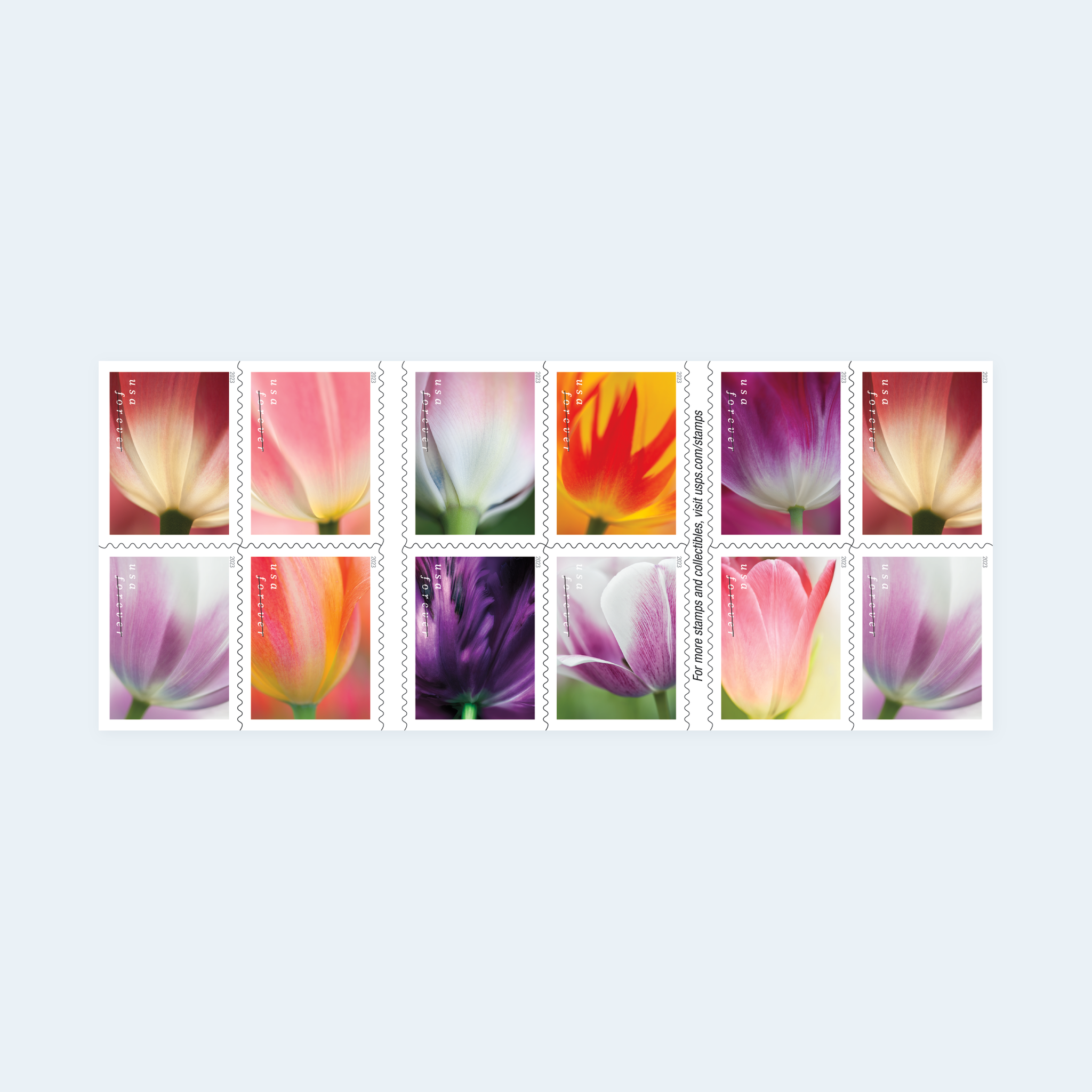 2023 Tulip Blossoms Forever Stamps: Self-Adhesive Booklets for First-Class Mail