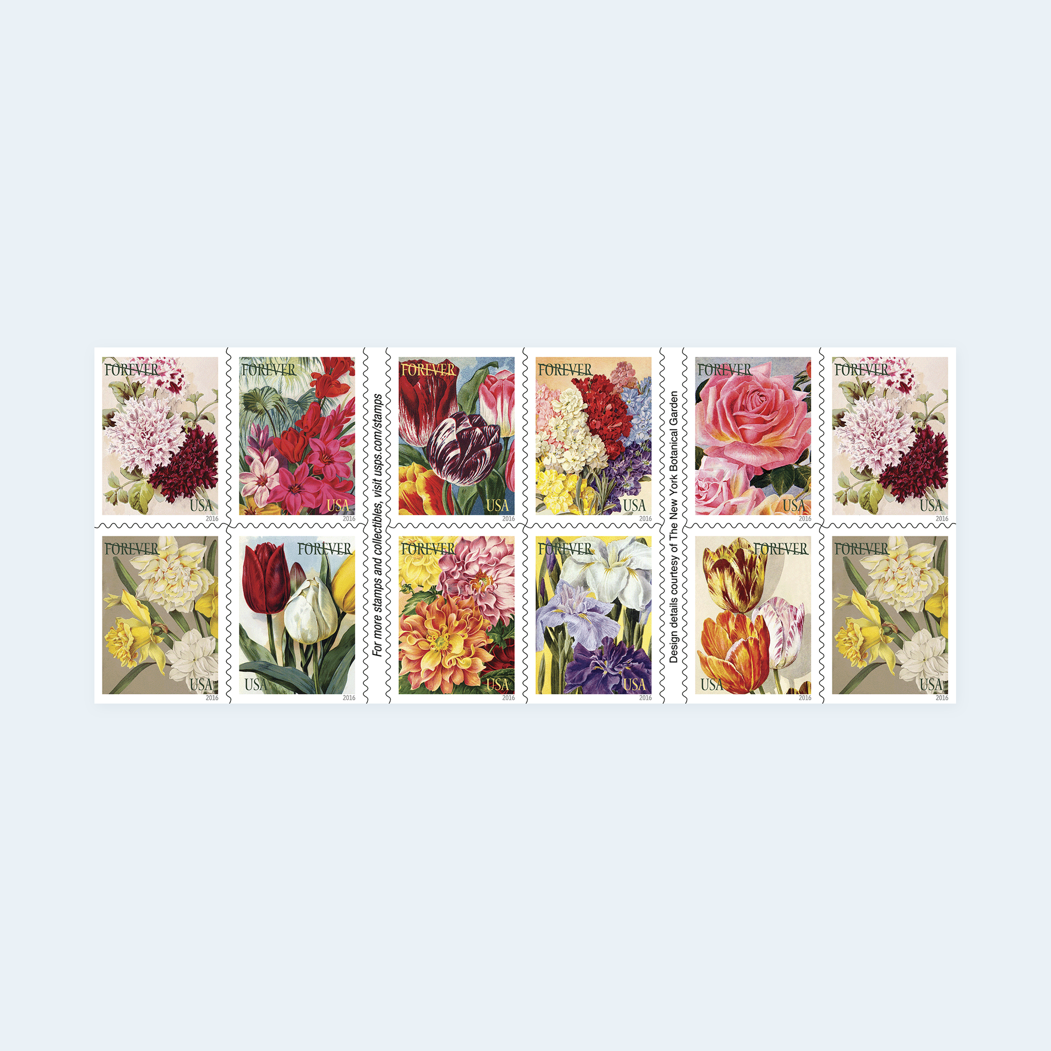 2016 Botanical Art Forever Stamps: Self-Adhesive Booklets for First-Class Mail - Image 2