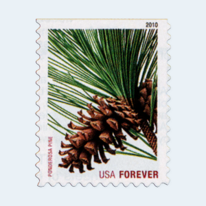 2010 Holiday Evergreens Forever Stamps: Self-Adhesive Booklet for First-Class Mail - Image 2