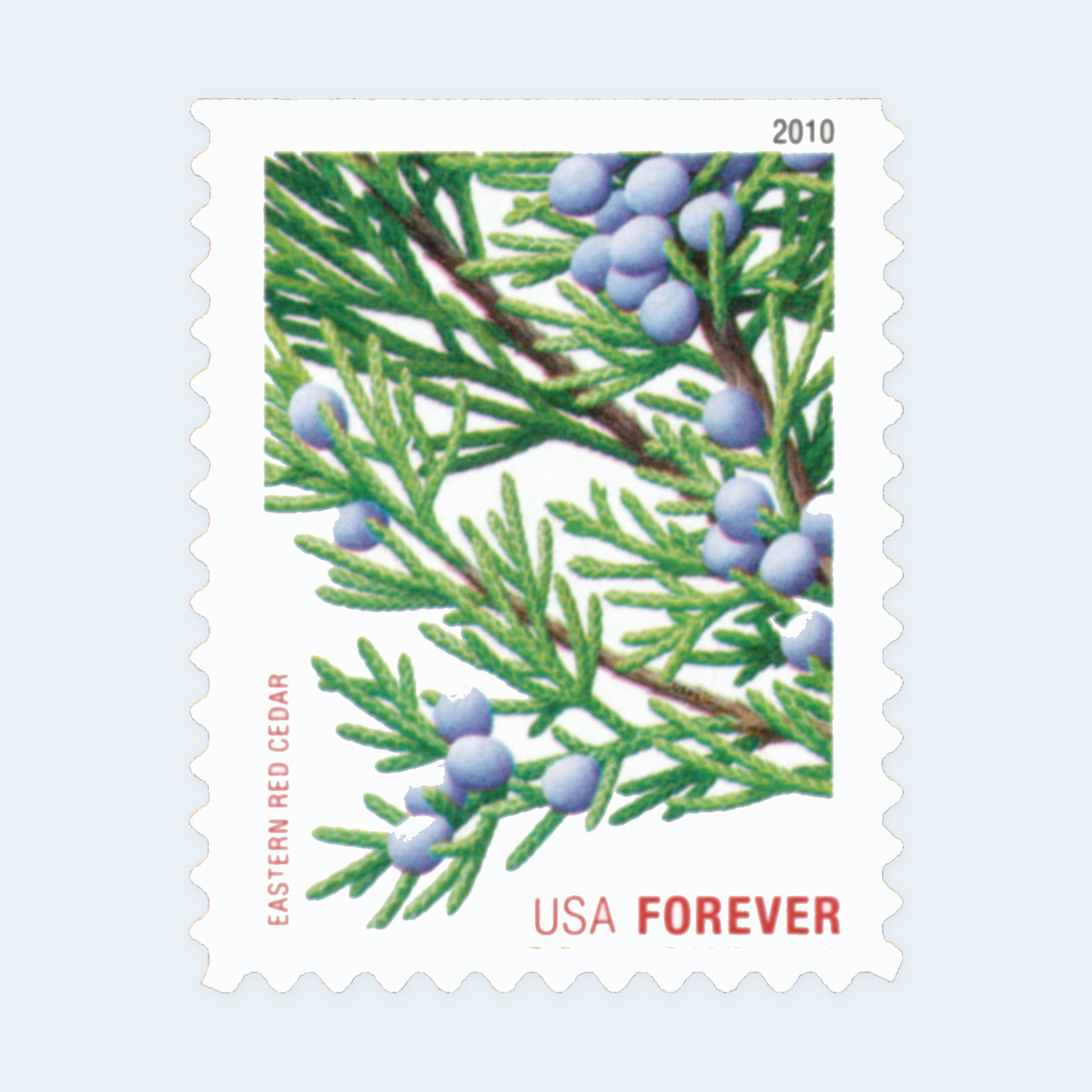 2010 Holiday Evergreens Forever Stamps: Self-Adhesive Booklet for First-Class Mail - Image 3