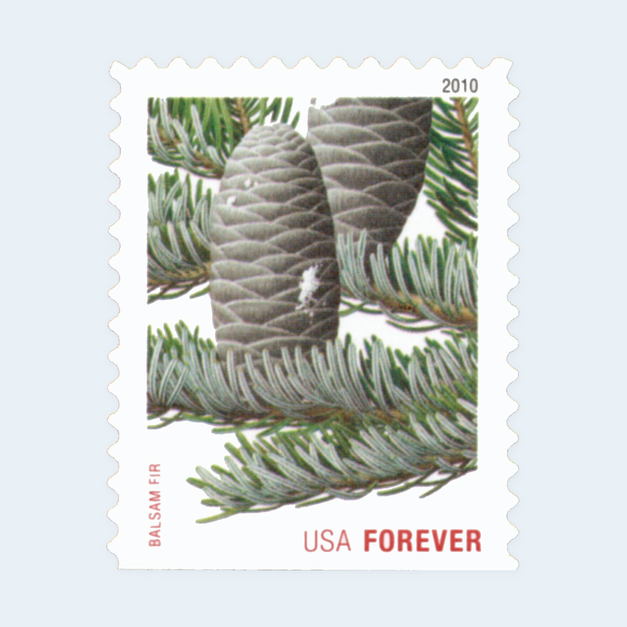 2010 Holiday Evergreens Forever Stamps: Self-Adhesive Booklet for First-Class Mail - Image 4
