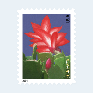 2014 Winter Flowers Forever Stamps: Self-Adhesive Booklets for First-Class Mail - Image 3