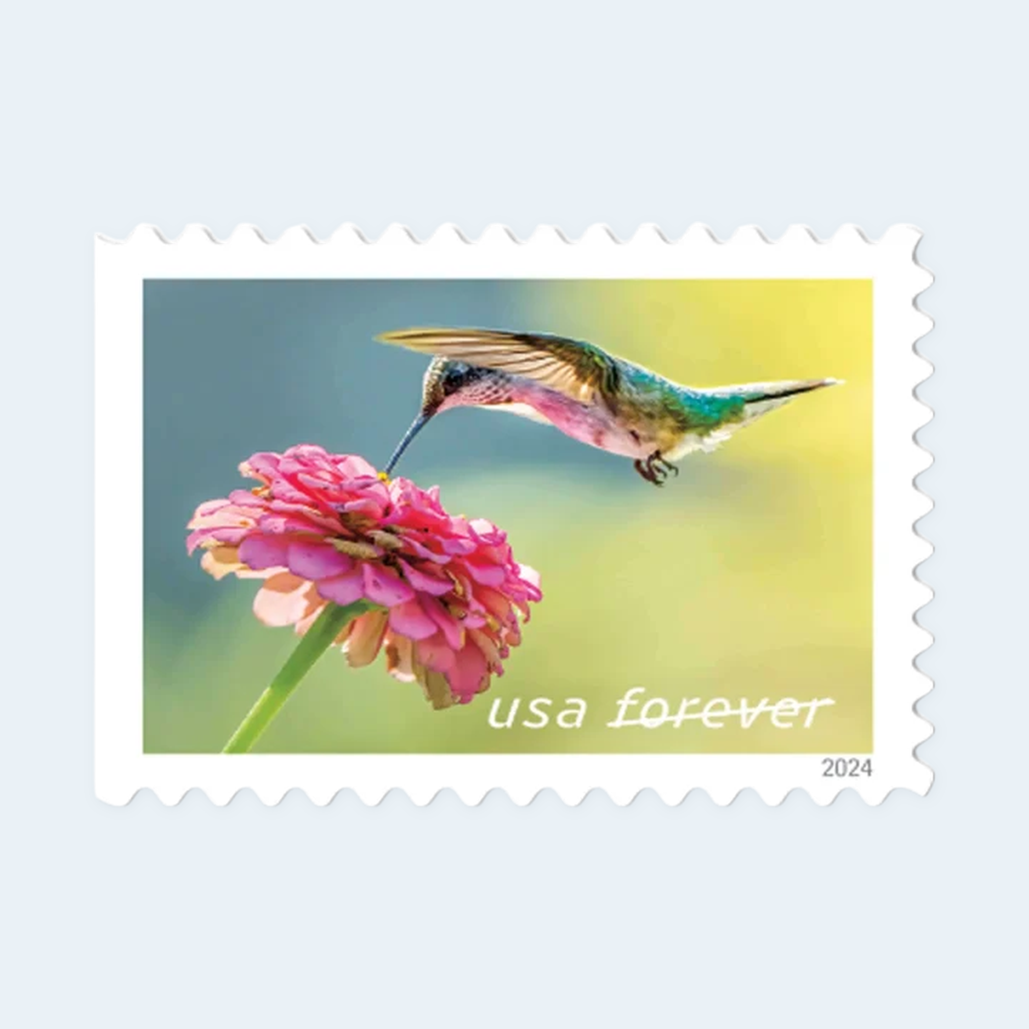 2024 Garden Delights Forever Stamps: Self-Adhesive Booklets for First-Class Mail - Image 3