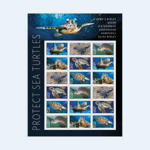 2024 Protect Sea Turtles Forever Stamps: Self-Adhesive Sheet for First-Class Mail