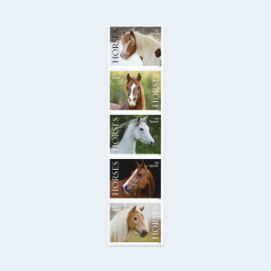 2024 Horses Forever Stamps: Self-Adhesive Sheet for First-Class Mail - Image 2
