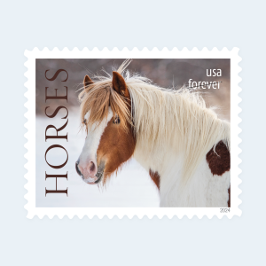 2024 Horses Forever Stamps: Self-Adhesive Sheet for First-Class Mail - Image 3